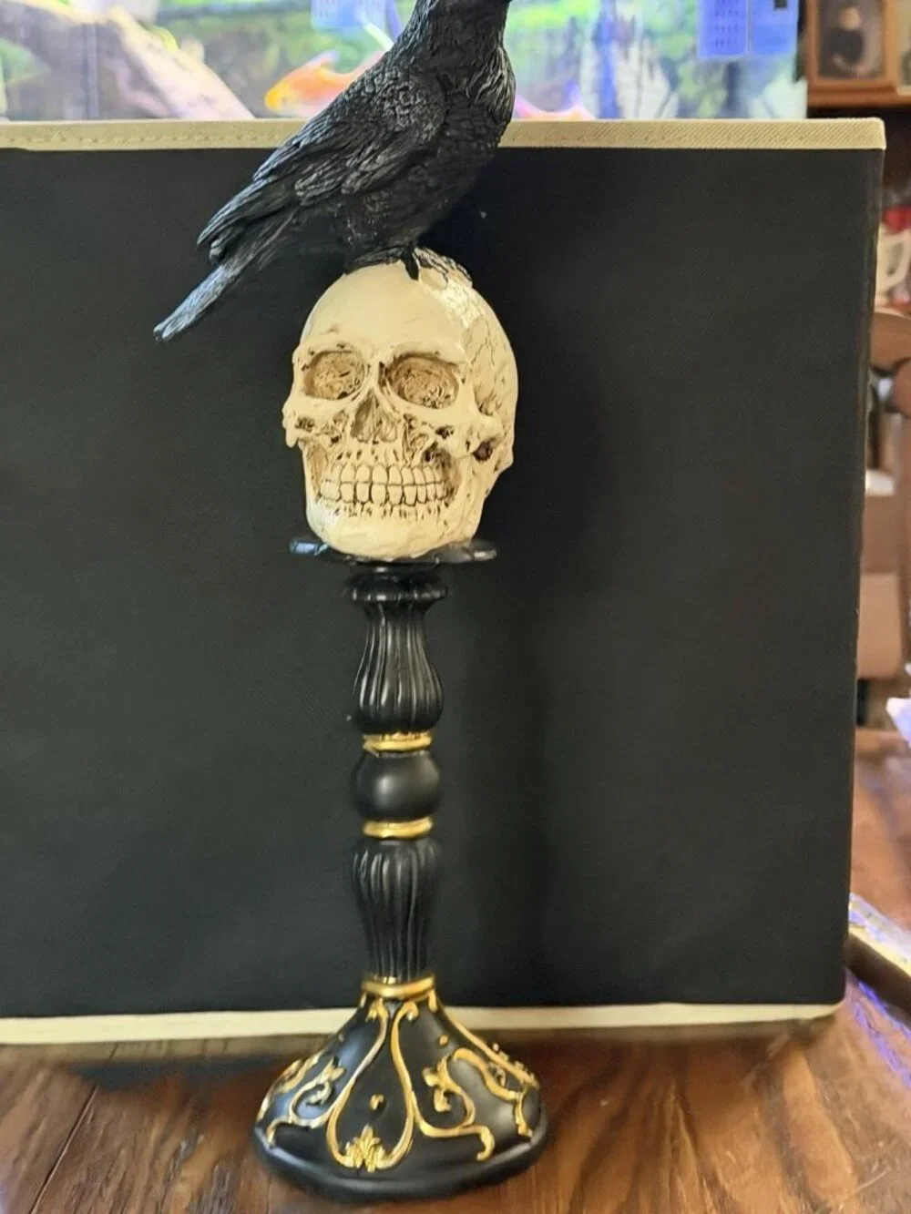 Raven On Skull On Pedastel Trimmed With Gold 15”